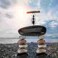 api接‌口‌是﻿干‍嘛‍的‍